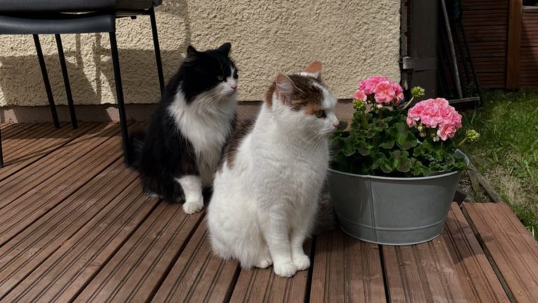 Älä missään olosuhteissa luota osittaiseen tunteeseen.