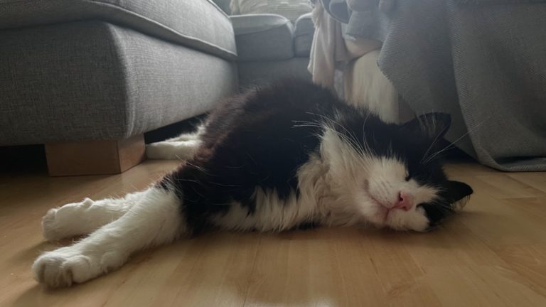 Ole välinpitämätön asuinpaikkaasi kohtaan.